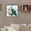 Diamond Painting-DIY Full Round Drill Peacock(35*35 CM)