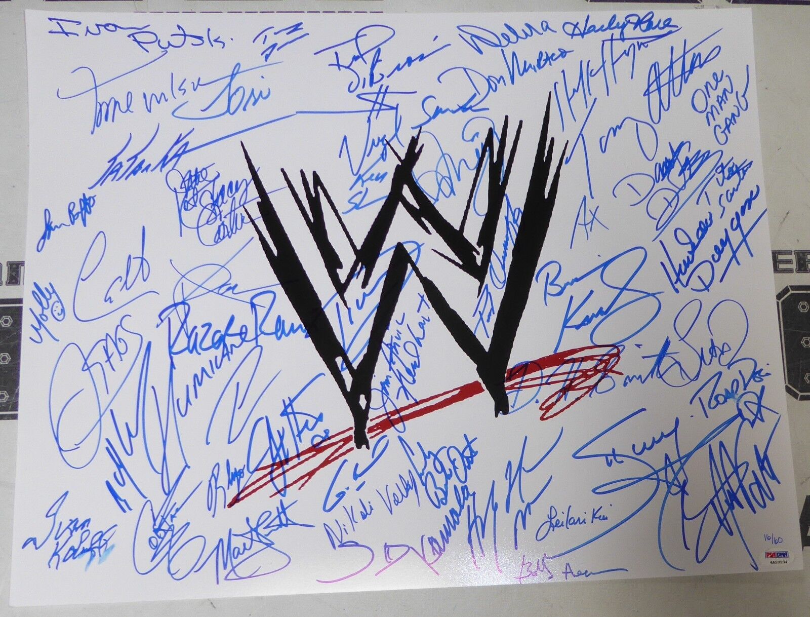Hulk Hogan Razor Ramon Lita X-Pac Sunny +46 WWE Stars Signed 16x20 Photo Poster painting PSA/DNA