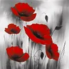 Fleur de coquelicot-plein rond diamant peinture-30 * 30cm