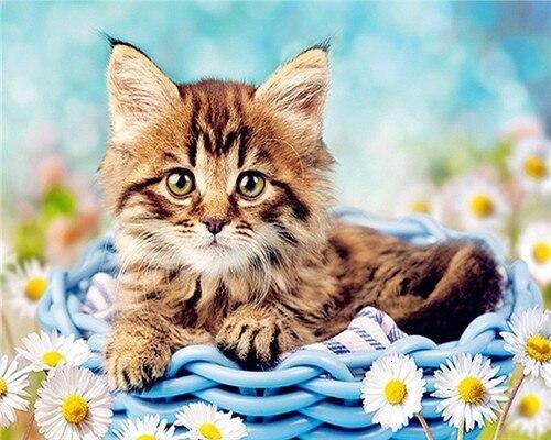 

Cat in Flowers Basket – Paint By Numbers - 40*50CM, 501 Original