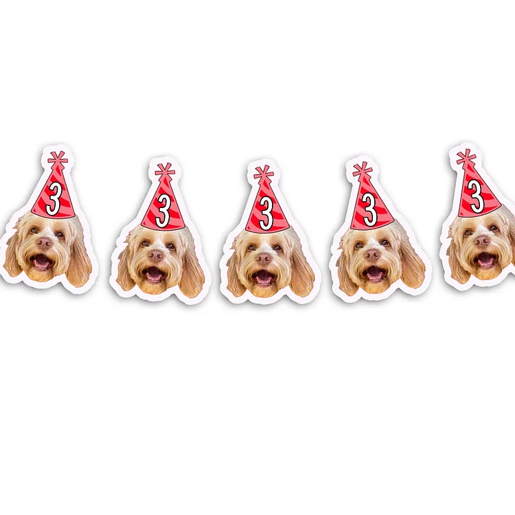 Custom Pet Face Birthday Decorations Dog Birthday Banner