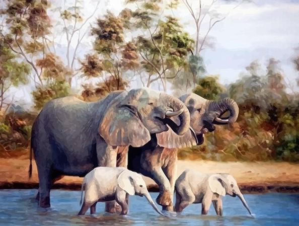 

Elephant family – Paint By Numbers - 40*50CM, 501 Original