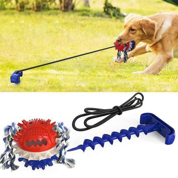 Pet rope ball outdoor training toy