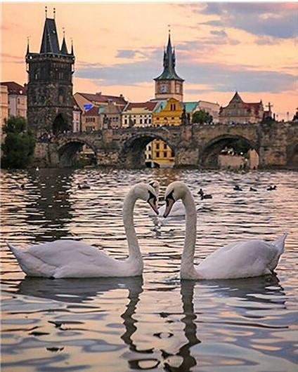 

Goose Under Charles Bridge – Paint By Numbers - 40*50CM, 501 Original