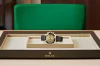Rolex 116518LN Daytona Champagne-colour - New