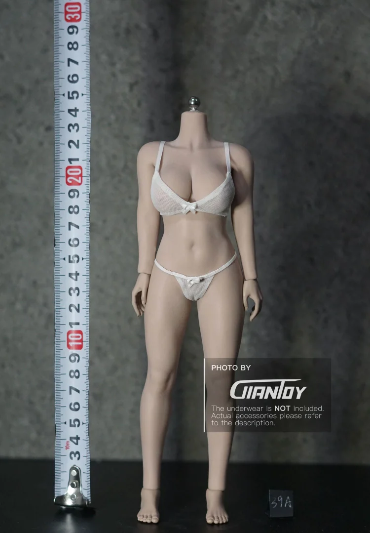 In-stock 1/6 TBLeague PLLB2020-S38A PLLB2020-S39A Plus Size Body-shopify