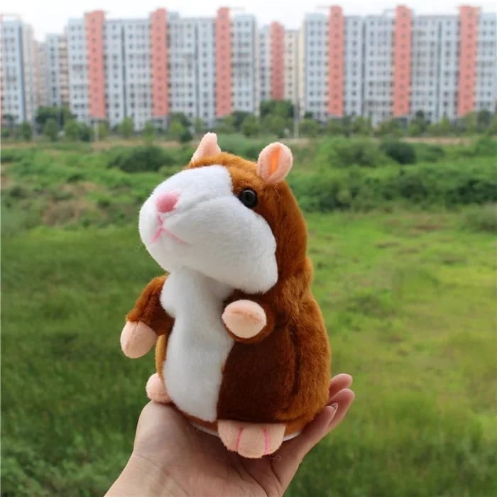 Namara shop talking outlet hamster