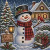 Snow Man 11CT 3 Strands DIY Stamped Cross Stitch Kit for Adults 45x45cm