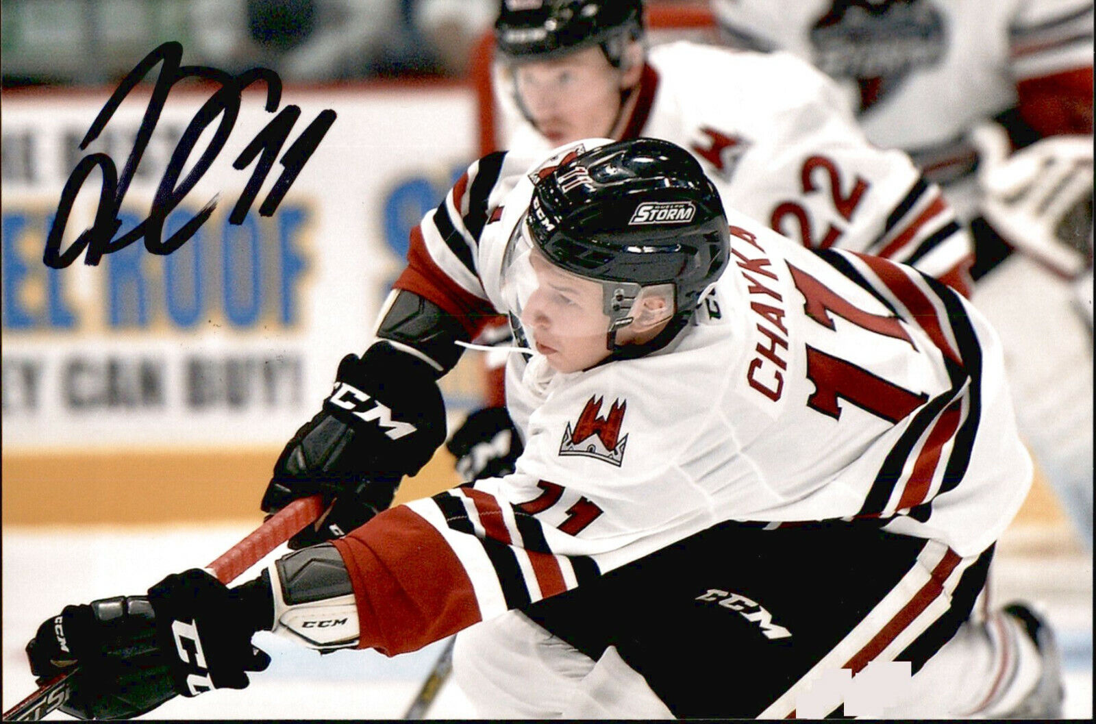 Daniil Chayka SIGNED autographed 4x6 Photo Poster painting GUELPH STORM / VEGAS GOLDEN KNIGHTS