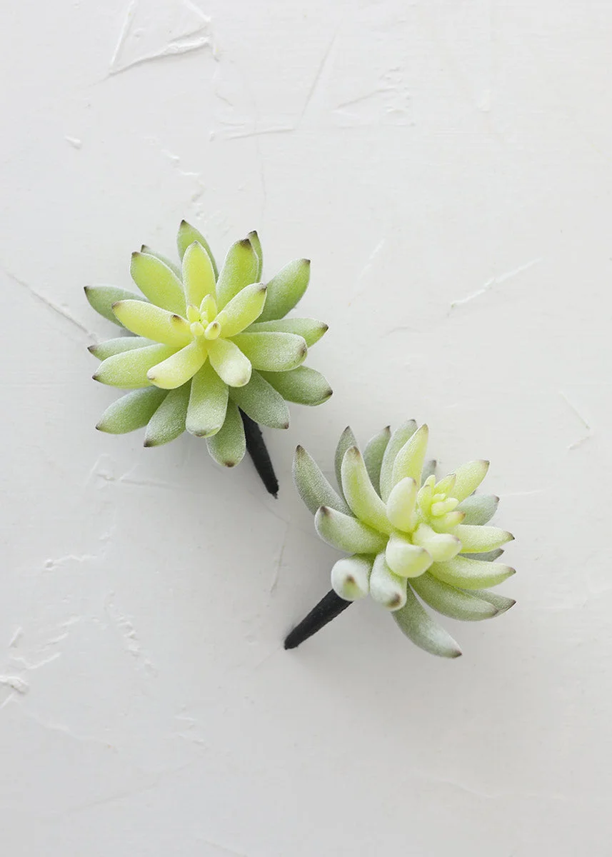 Artificial Flocked Succulents Agave Cactus - 4"