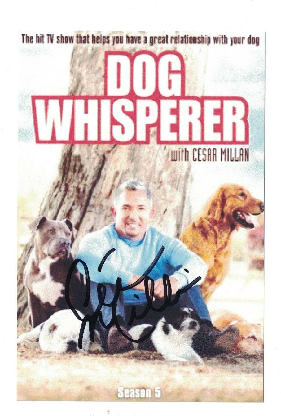 Cesar Millan Signed Autographed 4 x 6 Photo Poster painting Dog Trainer B