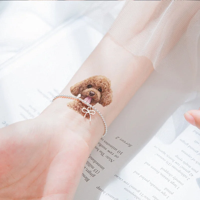 Cartoon Cat and Dog Face Stickers Tattoo Stickers Waterproof Girl/Child Cute Makeup Stickers Small Tattoo Pet Temporary Tattoos