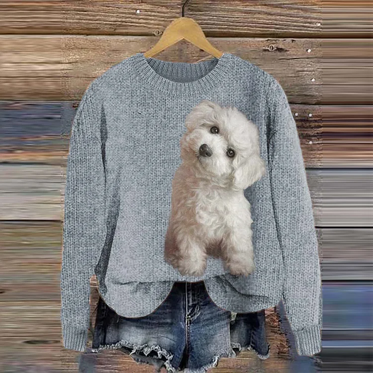 Niedlicher, langärmliger, lässiger Happy Dog-Pullover