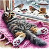 Chat et oiseau - perceuse ronde peinture diamant - 40*40cm