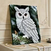 DIY Pearl Painting Owl for Home Wall Decor with Frame(30x40cm)