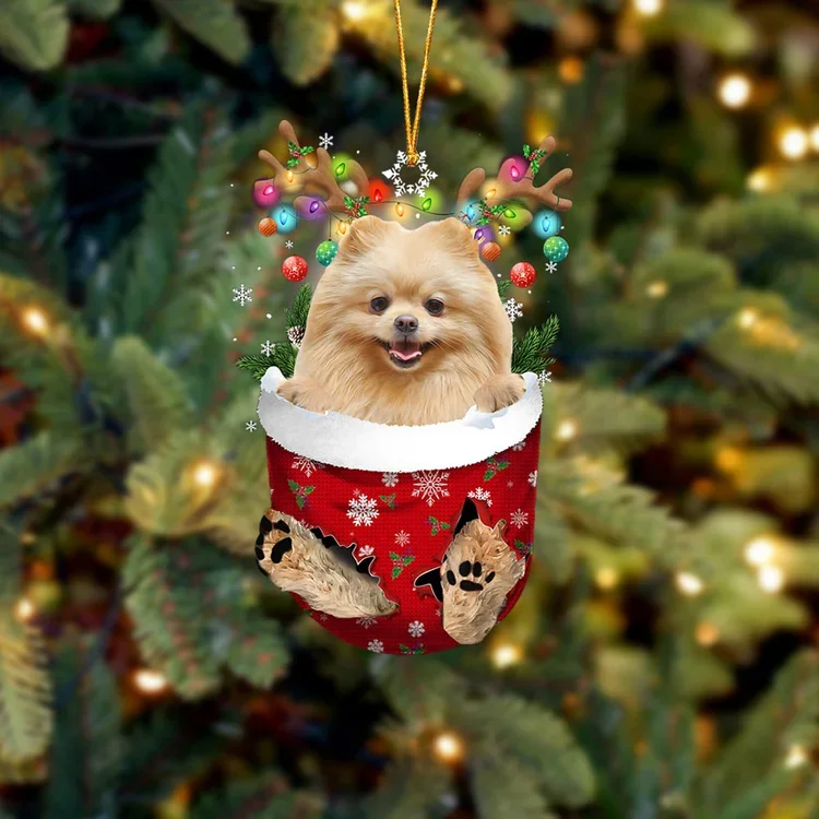 CREAM Pomeranian In Snow Pocket Christmas Ornament trabladzer