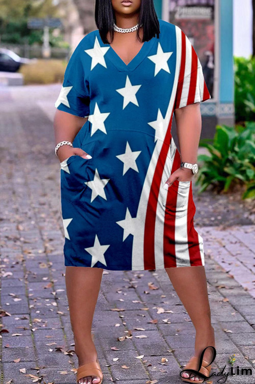 Blue White Fashion Casual Print Basic V Neck Short Sleeve Dress Dresses