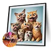Naughty Cats-Full Square Diamond Painting 40*40CM