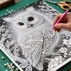 (Pre-Framed)White Owl-Special Shape Diamond Painting Kit(25x25cm)