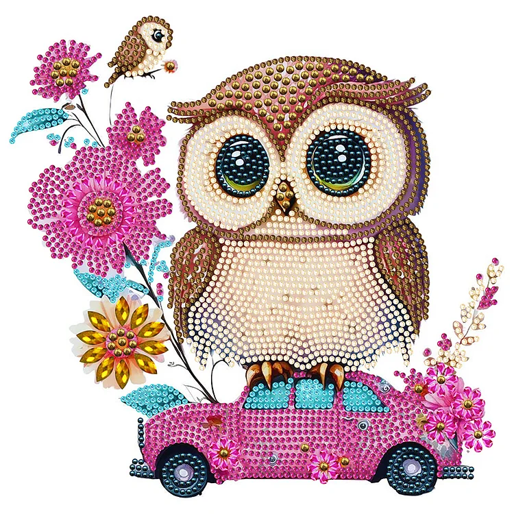 Partial Drills Special-shaped Drill Diamond Painting -Pink Owl Car - 30*30cm
