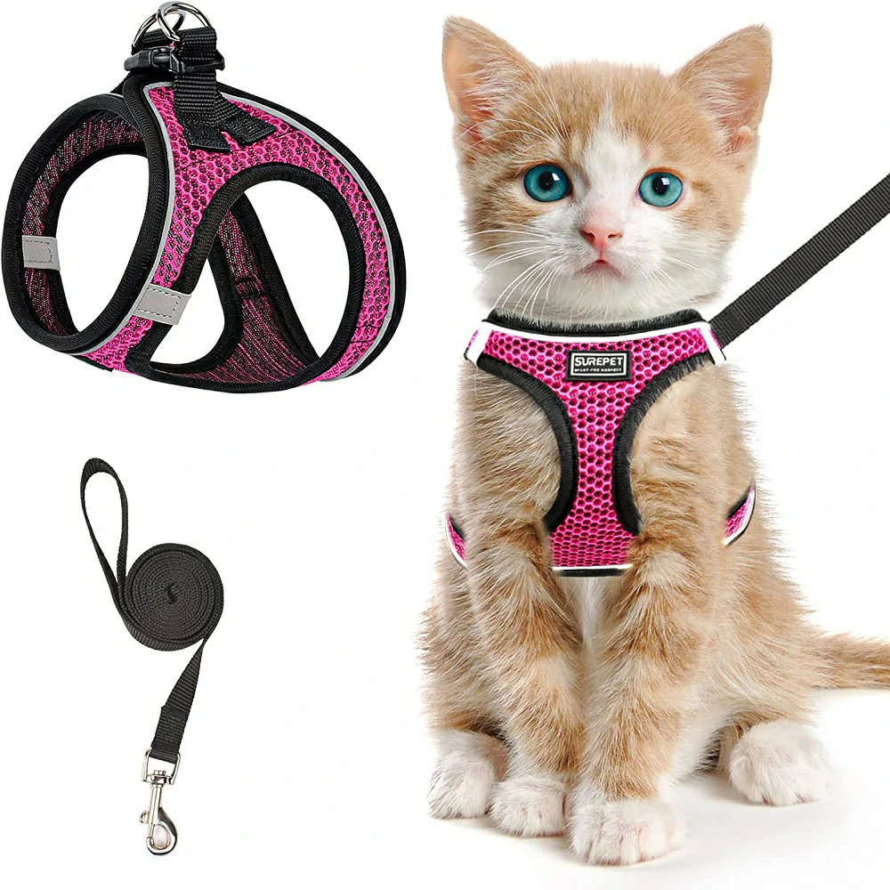 Cheetah Action Serie - Cat Harness Chic Adventures Secure Companionship