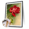 Red Rose-Paint by Numbers Acrylic Painting 40*50CM