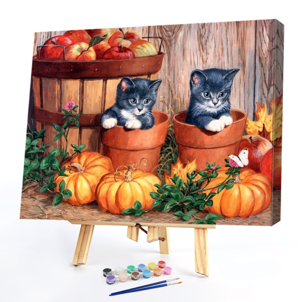 

50*40CM - Paint By Numbers - Black Cat And Pumpkin, 501 Original