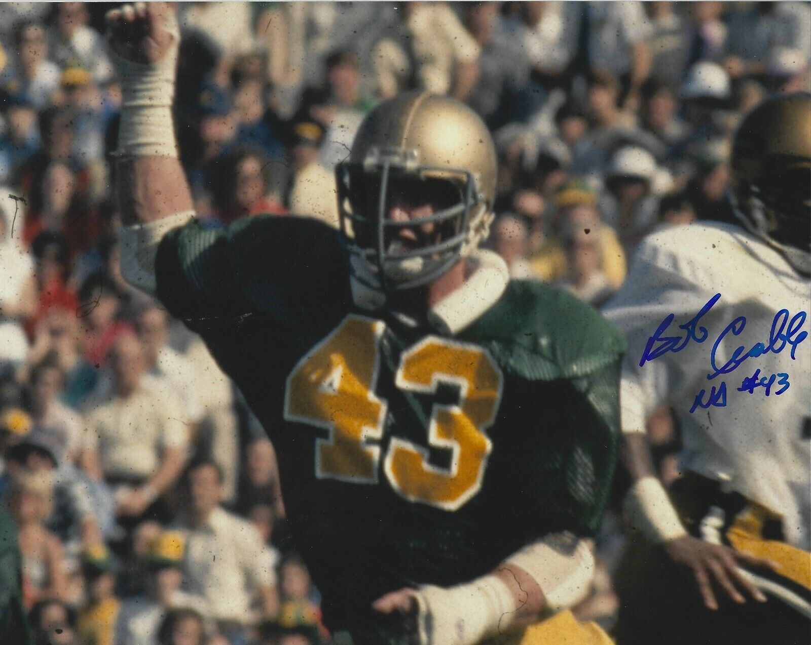 Signed 8x10 BOB CRABLE University of Notre Dame Autographed Photo Poster painting - COA