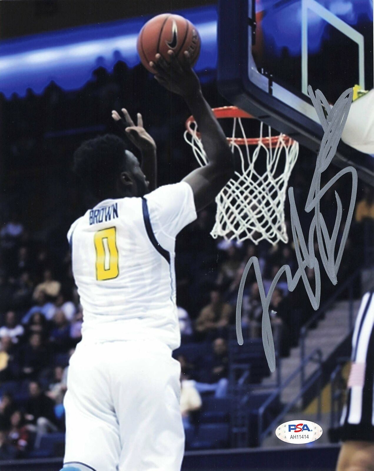 Jaylen Brown signed 8x10 Photo Poster painting PSA/DNA Boston Celtics Autographed Cal Bears