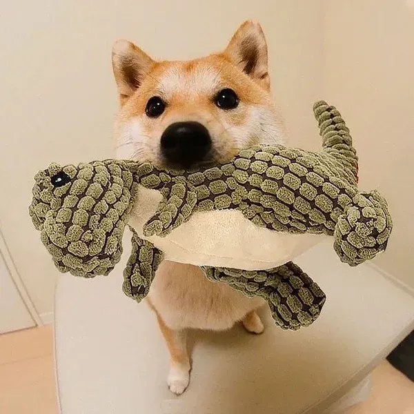 🌹Indestructible Robust Dino--For Aggressive Chewers