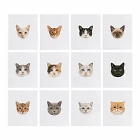 MINI-Cute Cat Faces