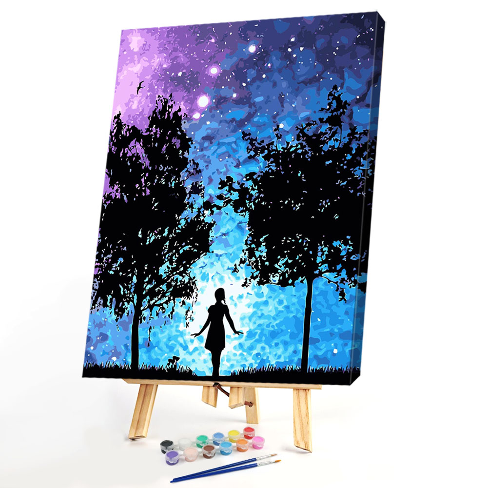 

40*50CM Paint By Numbers-Starry Sky, 501 Original