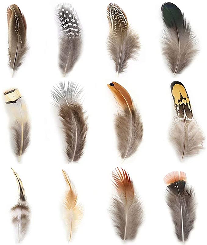Guinea Fowl Feather Accessories for Hats