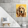Painting By Numbers - DIY Dog(40*50cm)