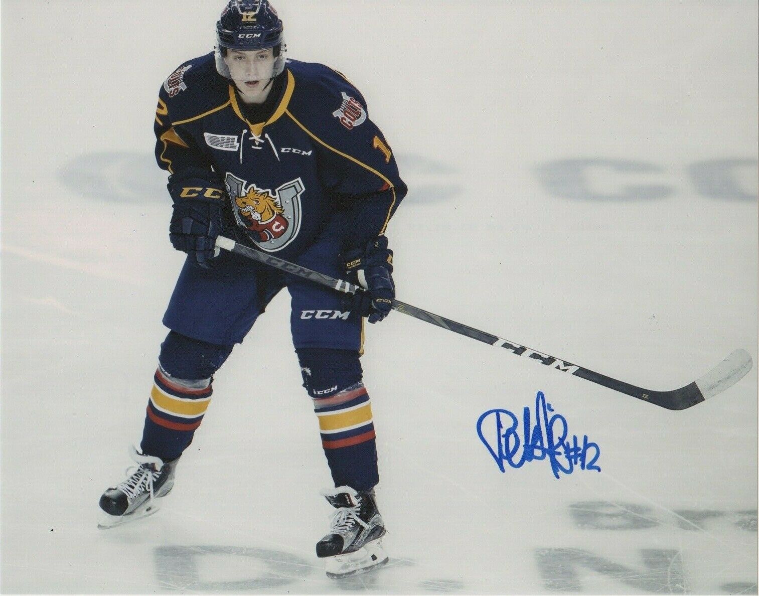 Barrie Colts Matej Pekar Signed Autographed 8x10 Photo Poster painting COA #1