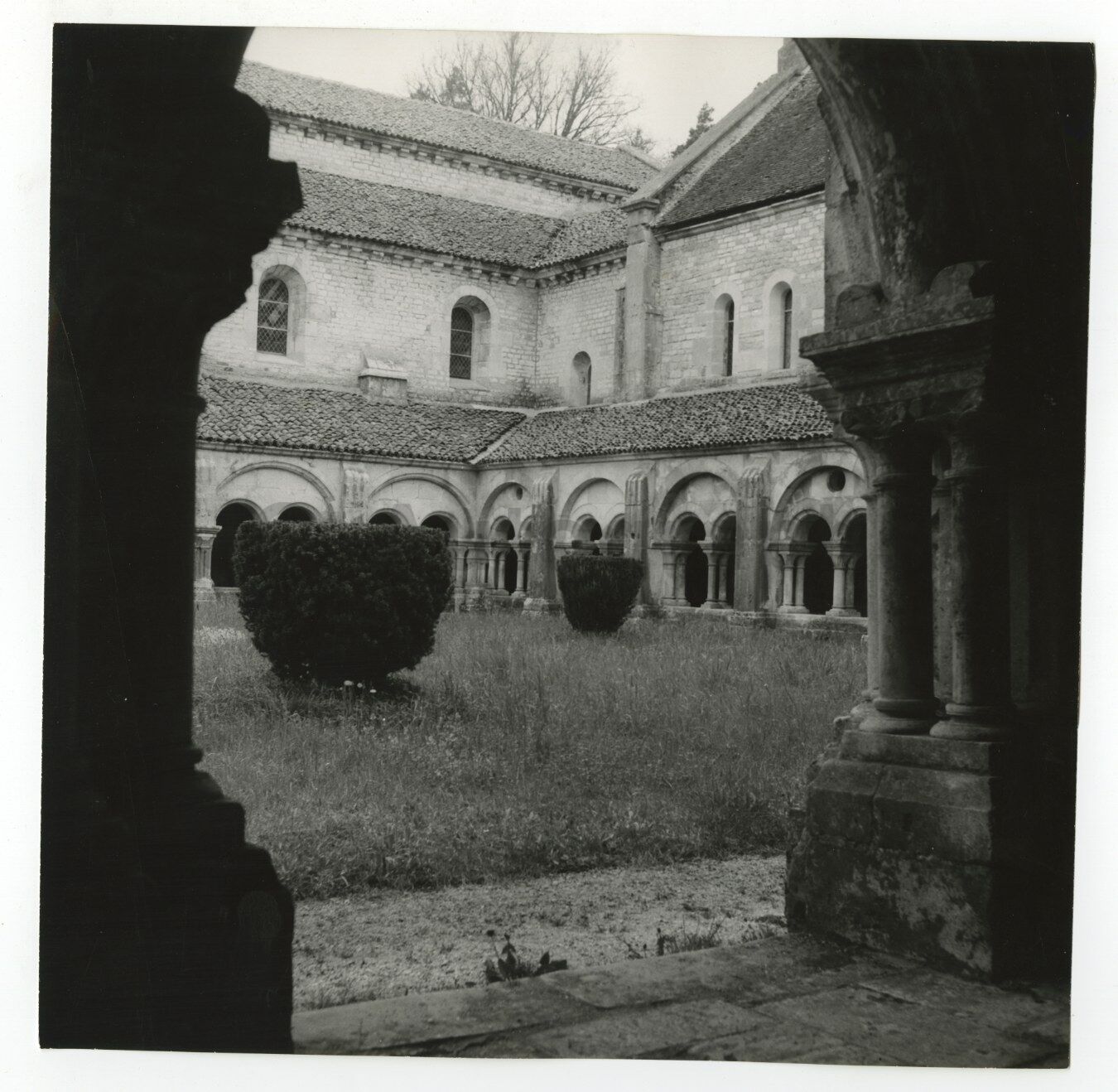 Abbey of Fontenay - Vintage 8x8 Publication Photo Poster paintinggraph - France