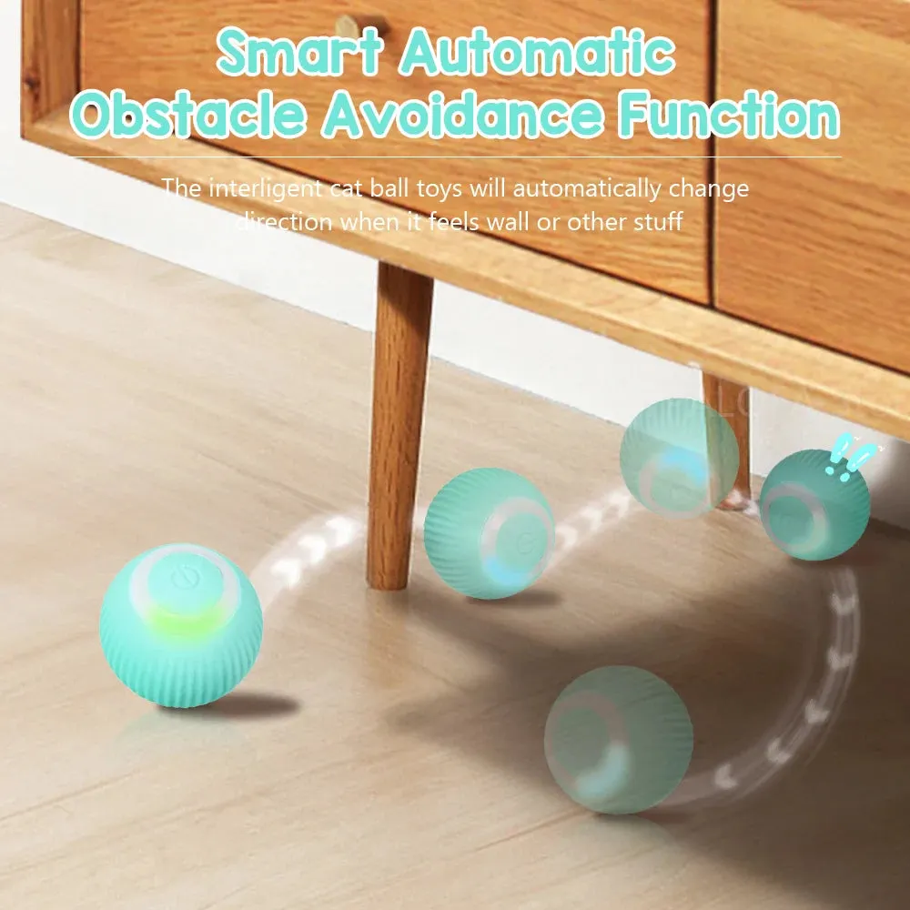 2 in 1 Simulated Interactive hunting cat toy - BUY 2 VIP SHIPPING