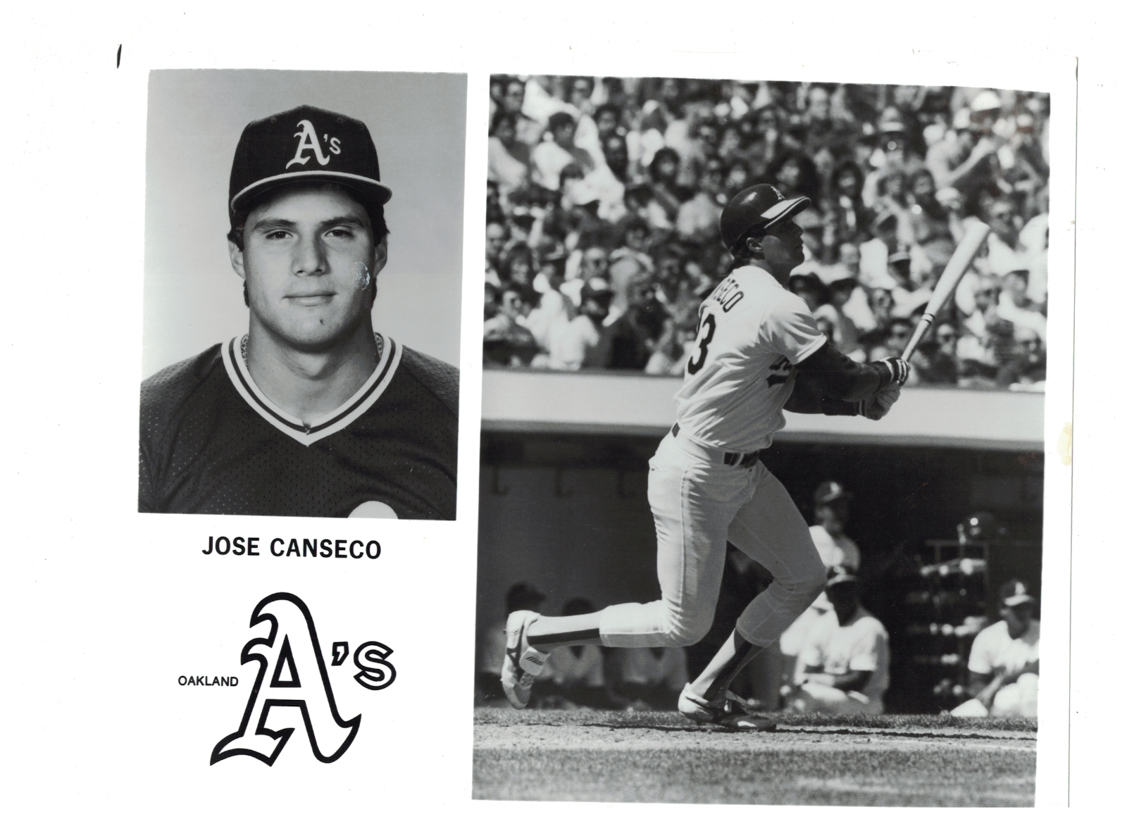 Jose Canseco Oakland Athletics Vintage Team Issue 8x10 Photo Poster painting