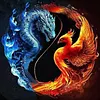 (Multi-Style) Tai Chi-11CT Stamped Cross Stitch 40*40cm/15.75*15.75in
