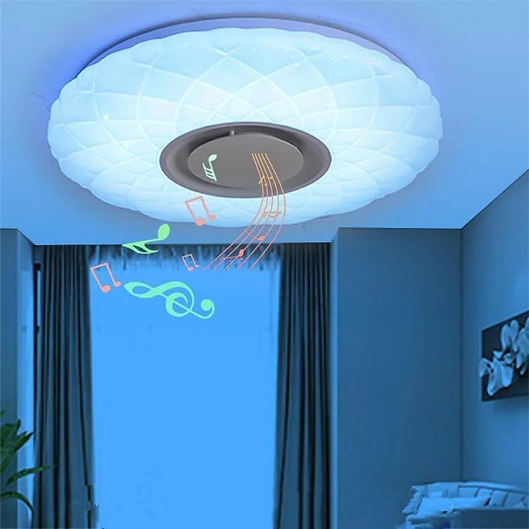 Metal Acrylic Flush Mount Ceiling Light Dimmable Unique LED Light - Appledas