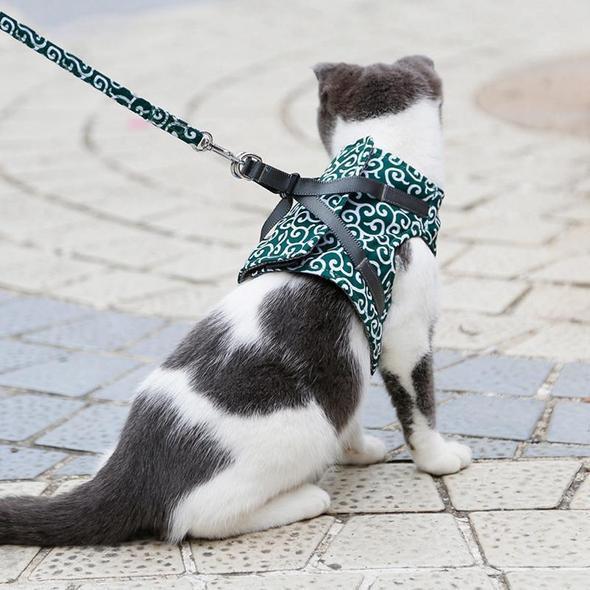 Cat Vest Harness and Leash Set to Outdoor Walking | 168DEAL