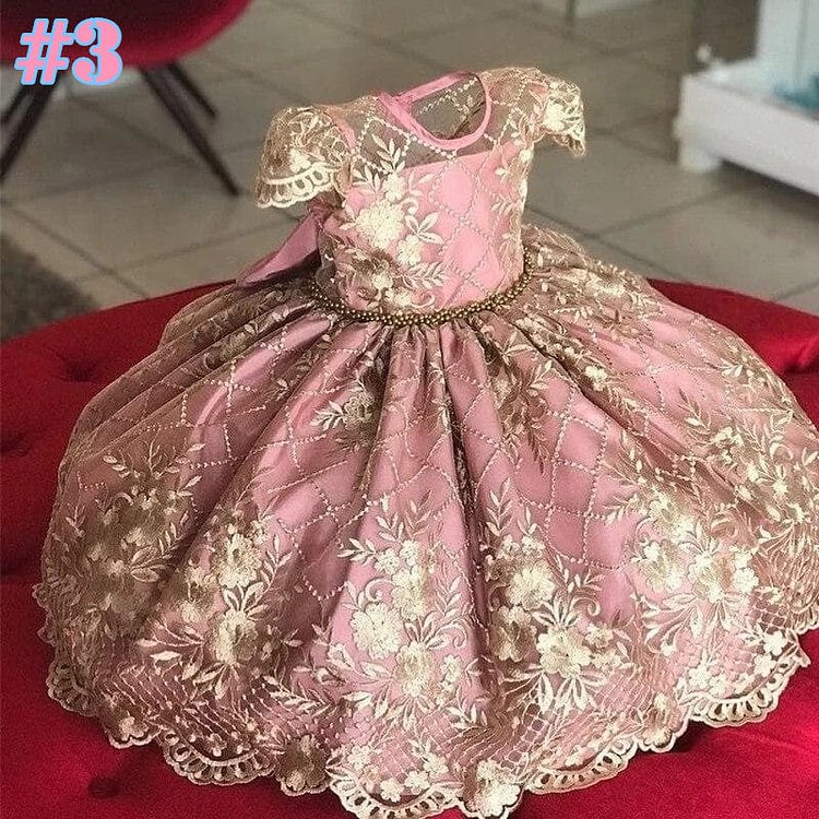 Tutu Lace Flower Embroidered Ball Gown Baby Girls Princess Kids Dress SP17423