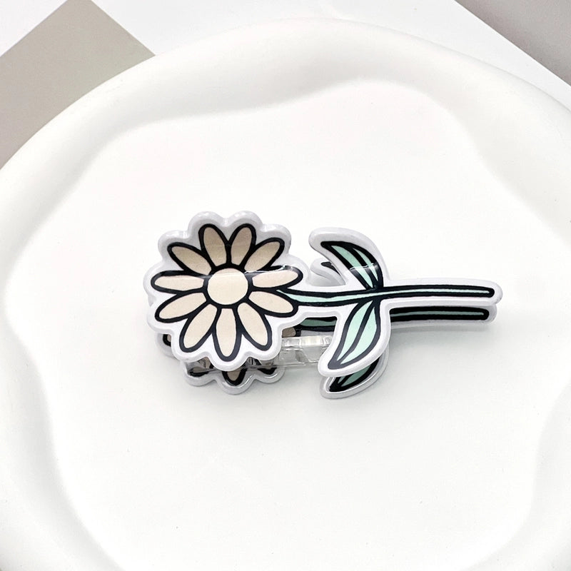 Minimalist Artistic Women’s Rainbow Car Flower Arylic Hair Claws