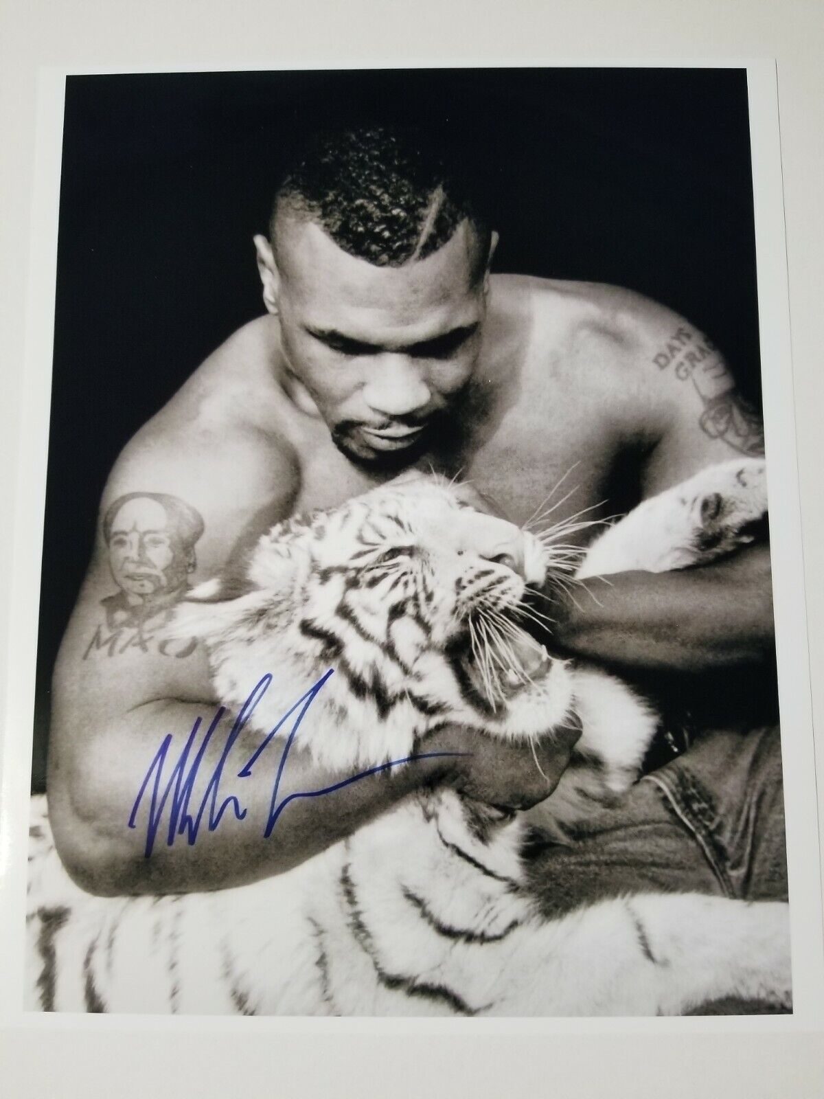 Mike Tyson Signed 8x10 Photo Poster painting RP -  Shipping!!