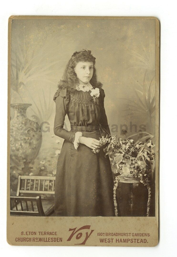 19th Century Fashion - Cabinet Card Photo Poster paintinggraph by Voy, West Hempstead, NY