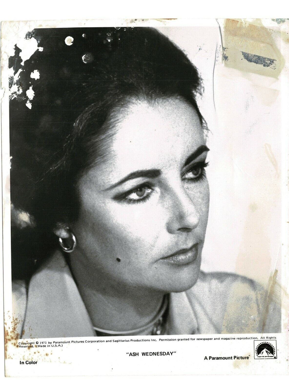 Vintage Celebrity Photo Poster painting Collection of 12! Elizabeth Taylor and many more! 7997