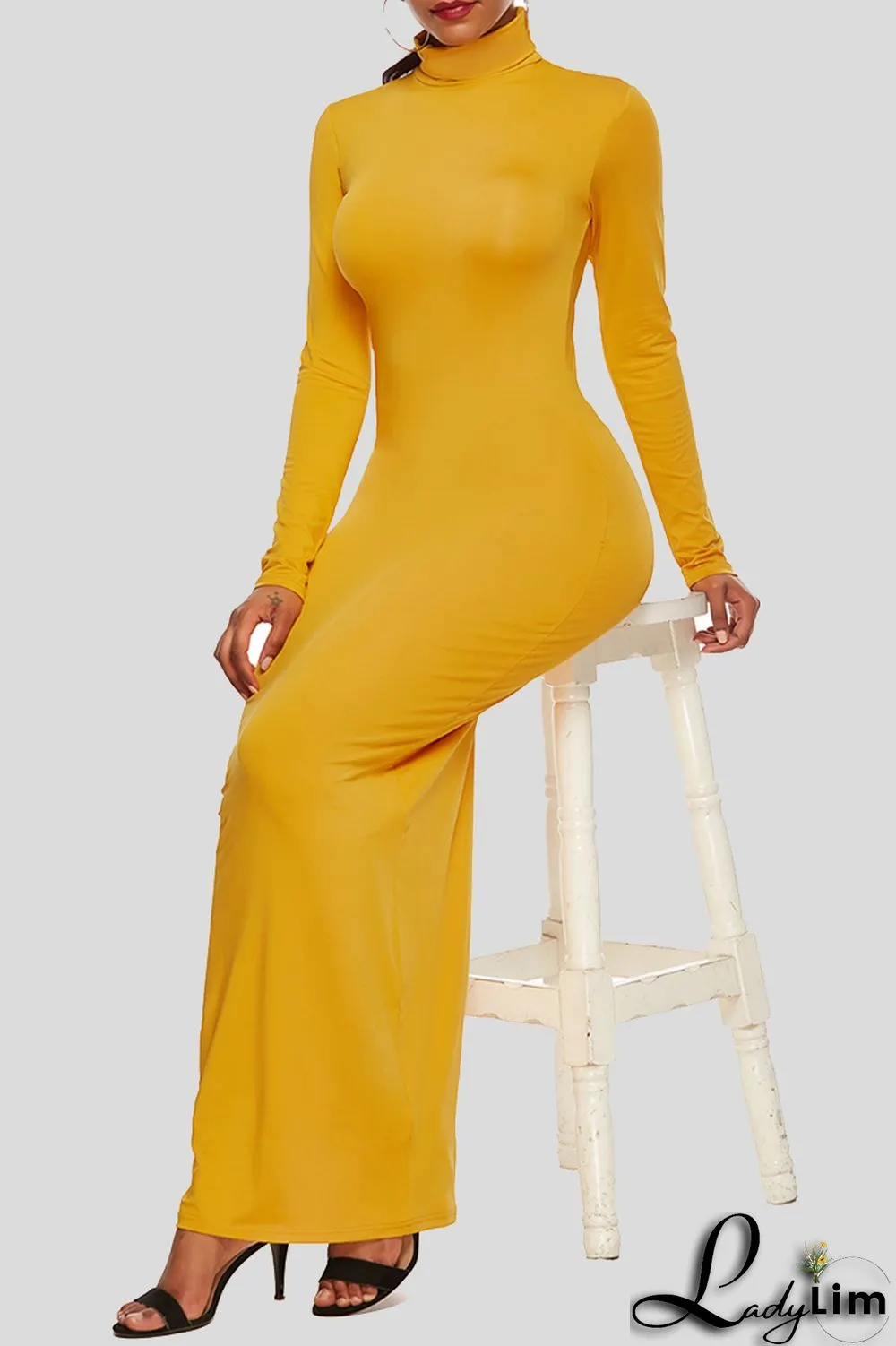 Black Fashion Casual Solid Basic Turtleneck Long Sleeve Dresses