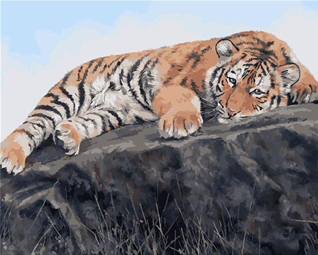 

Tired Tiger – Paint By Numbers - 40*50CM, 501 Original