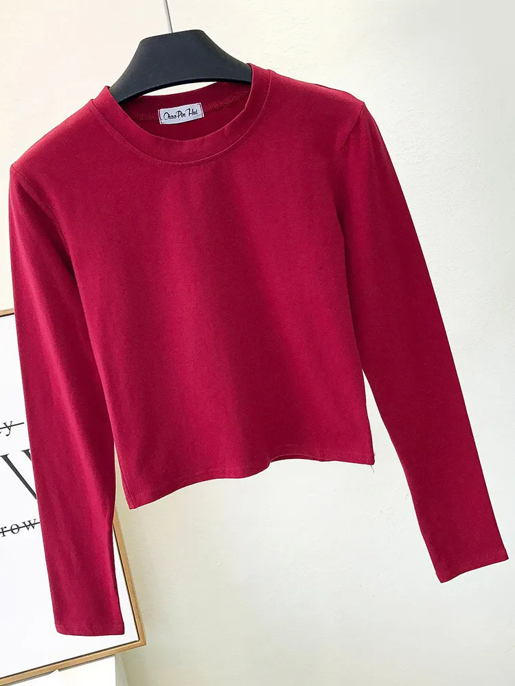 Churchf Churchf High Neck Long Sleeve Crop T-Shirt Korean Version Autumn Dong Tight Leakage Belly Button Bottom Shirt Short High Waist Sports Jacket