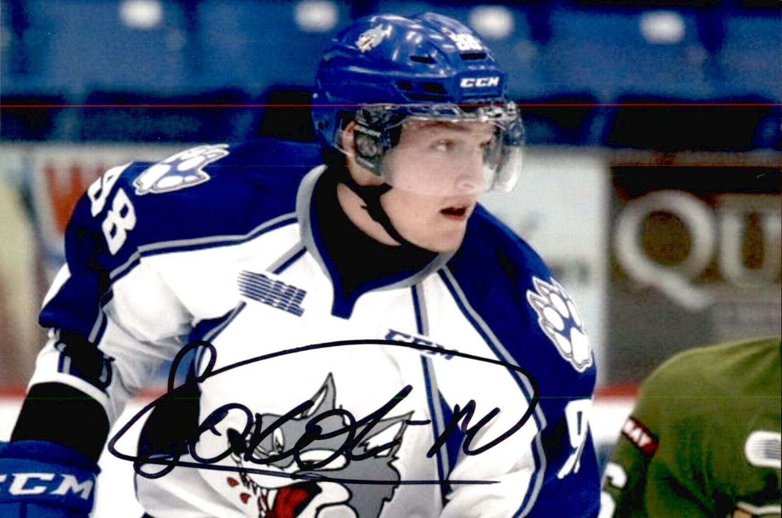 Dmitry Dmitri Sokolov SIGNED 4x6 Photo Poster painting SUDBURY WOLVES / MINNESOTA WILD